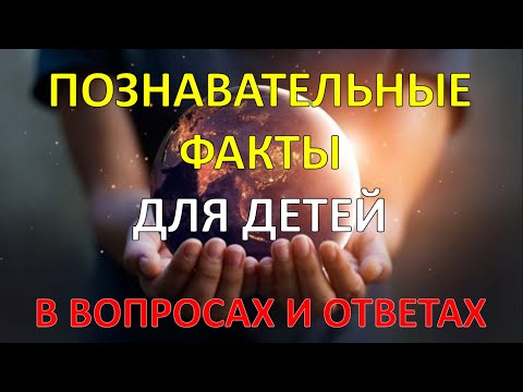 Интересные факты для детей