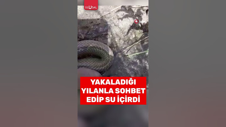 Eliyle yakaladığı yılanla sohbet edip su içirdi #shorts #keşfet #yılan