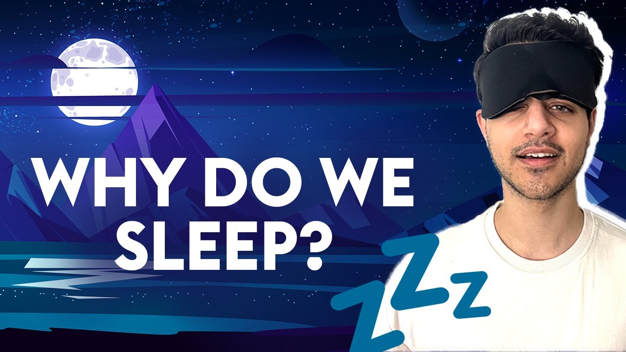 I learned why we sleep.