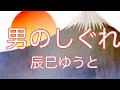 【辰巳ゆうと】 男のしぐれ           唄ってみました