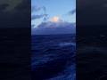 #стетхем #цитатысосмыслом #ржака #мудрость #приколы #ocean