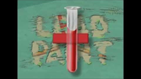 Alexander and Catalano -  Lead Paint (Year Unknown)