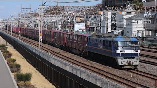 5075レ EF210-315+コキ20両 戸塚付近通過