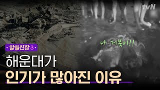 Encyclopedia of Useless Facts 3 해운대 홍보대사?! 3만 인파를 모은 거북이의 정체! 181123 EP.10