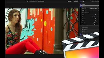 Tutorial 2 Applying LUTs in FCPX
