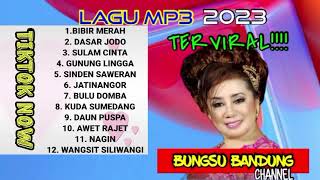 LAGU MP3 TERVIRAL @TikTokNow BUNGSU BANDUNG //BIBIR MERAH