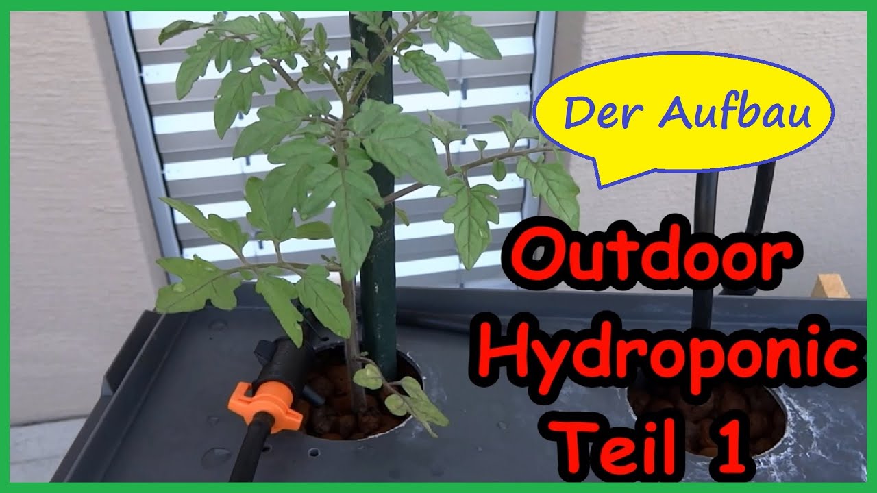 Outdoor Hydroponic Der Aufbau / Hydroponik draussen Teil 1 - YouTube