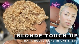 How to &quot;bleach&quot; natural hair without damage. NO BLEACH METHOD. Dark roots gone in one step!