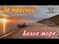 Рыбалка на мысе Малинник.Ловим Треску.#белоеморе #треска #рыбалка2021