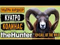 theHunter Call of the Wild #2 🐺 - Куатро Колинас (часть 2) - Хардкорная Охота