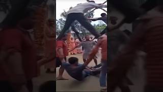 Reeses Puffs Reeses Puffs