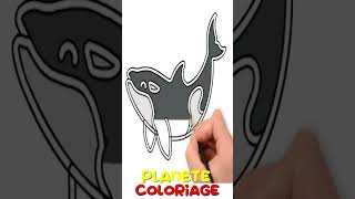 Apprendre Coloriage Orque | Planète Coloriage