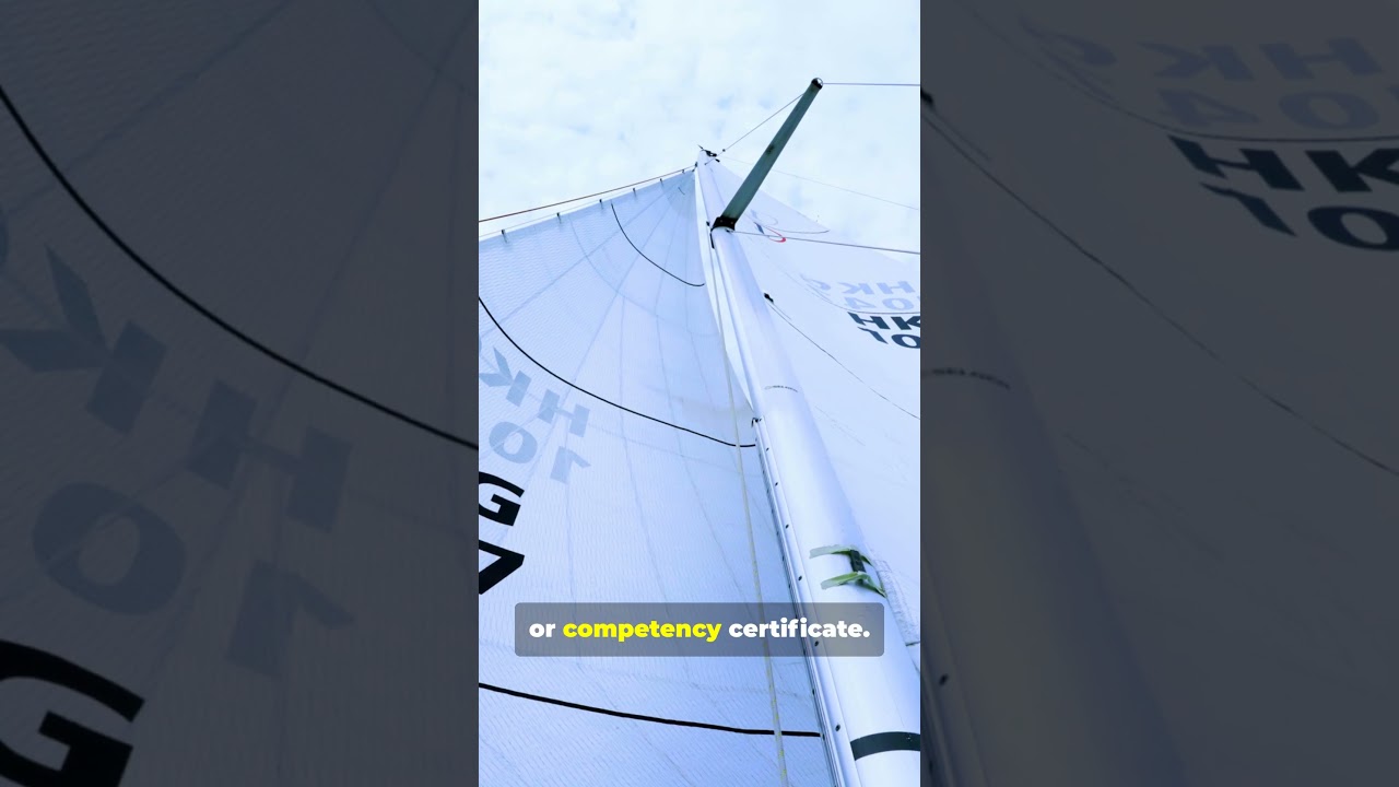 Sailboat Racing  License or Not?  #boat #sailing #shorts