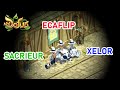 LA NOUVELLE TEAM EST ENFIN PRÊTE ! - KOLIZEUM - Gryfox [DOFUS]