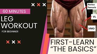 Complete Leg Workout | Squats, Leg Press & Hack Squat for Strength & Size
