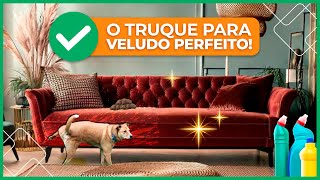 How to clean a velvet sofa: Powerful home remedies screenshot 1
