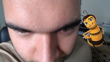 reading the bee movie script nearly drove me to madness