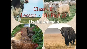 Class 2  EVS  Chapter 18 Part 2