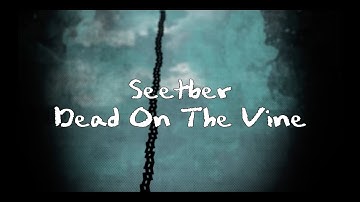 Seether - Dead On The Vine Lyrics