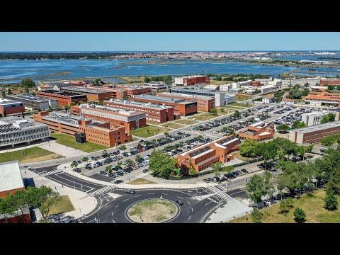 Seminário de Gestão de Empresas da Universidade de Aveiro 2021