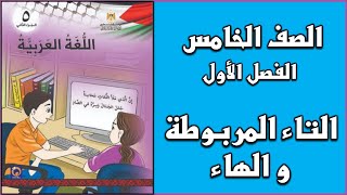 شرح درس  التاء المربوطة و الهاء  | اللغة العربية | الصف الخامس | الفصل الأول