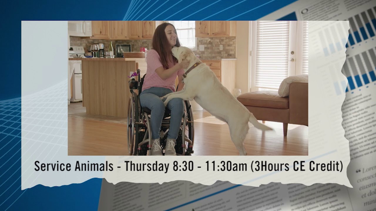 realtor jason yaselli Real Estate and Service Animal Rules — at the 2019 Florida Realtors Convention & Trade Expo