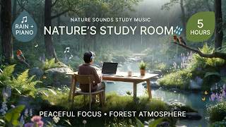 Peaceful Study Music - 5 Hours Nature Sounds Rain & Piano | Forest Atmosphere for Focus & Calm screenshot 4