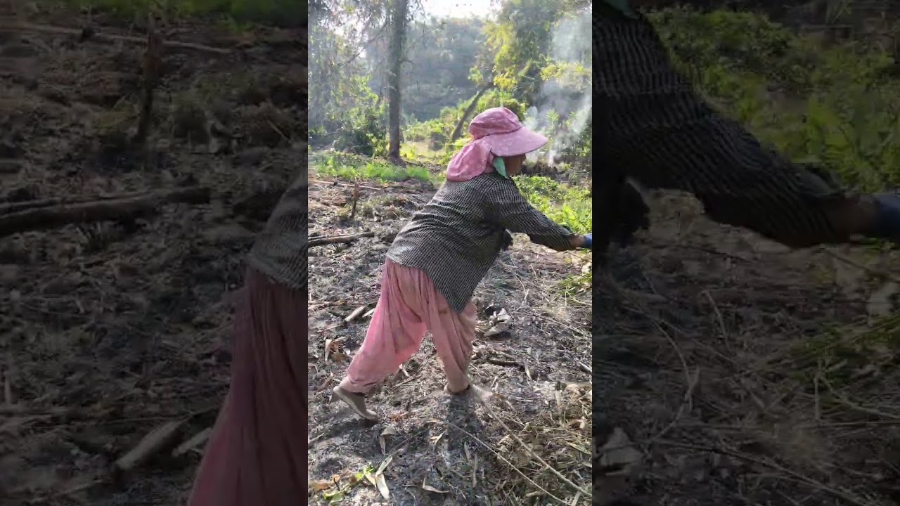 Take arik ipekuem ibin kidung silo arda dope kumlik bilangka