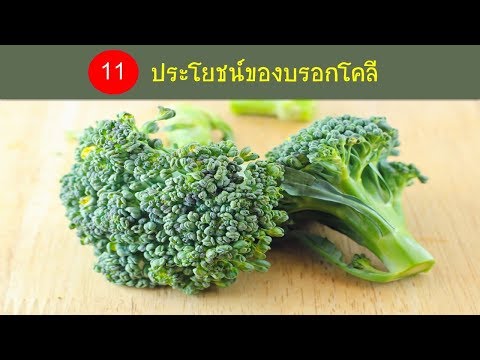 11 ประโยชน์ของบรอกโคลี  Broccoli