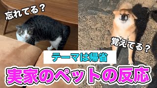 【会いたかった