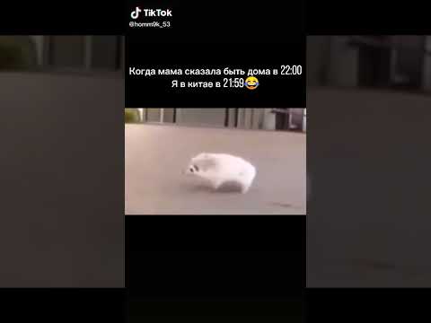 Когда мама сказала быть дома в 22:00. Я в Китае 19:59