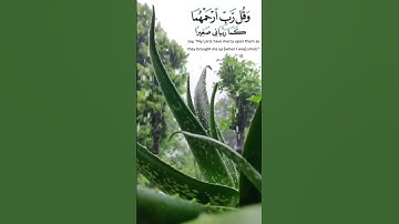 تلاوة مختارة من سورة الإسراء للشيخ: صالح المقيطيب رحمه الله