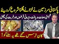 Golden Treasure Found In Pakistan & Confirmation By Pm Imran Khan To Nation