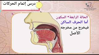 تدريبات على نطق(السكون)