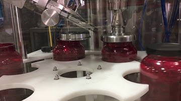 Single Head Chuck Capper IV