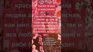 ➕3️⃣8️⃣0️⃣5️⃣0️⃣8️⃣5️⃣6️⃣9️⃣9️⃣3️⃣1️⃣ telegram, WhatsApp, Viber консультация бесплатно