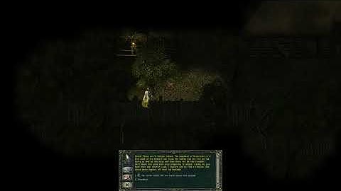 Divine Divinity - Village guards vs Orcs