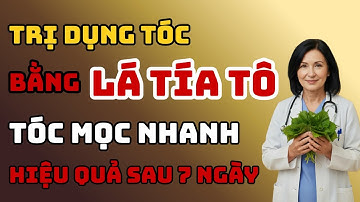 Cách Trị Rụng Tóc Bằng LÁ TÍA TÔ – Mọc Tóc Nhanh, Dày, Giảm Rụng An Toàn Tại Nhà Sau 7 Ngày!