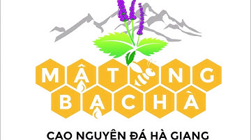 MẬT ONG BẠC HÀ - Cao nguyên đá Đồng Văn