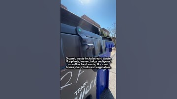 Fines starting for NYC residents trash and compost