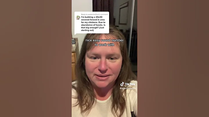 How much space is needed for a chicken run? Good question.  #backyardchickens #chickenrun #chickens