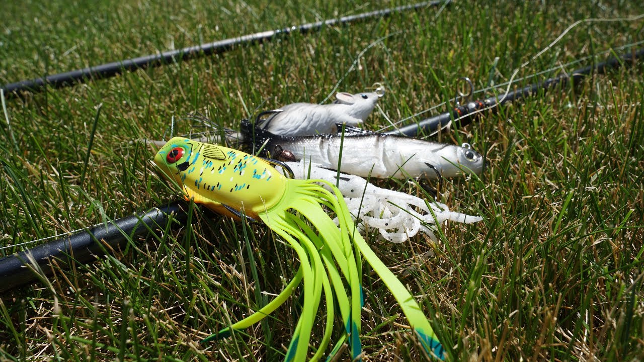dumb fishing lures Missile Baits Chunky D California Love from bass to perch to pickerel.The Lunkerhunt Finesse Worm features a salt Tagged with ' topwater fishing
