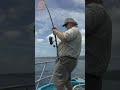 Popper Fishing For Red Bass #Shorts