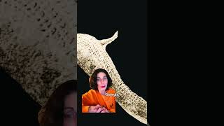 Does Georgia have its own Loch Ness Monster? #weird #legends #georgia #folklore #cryptids #cryptid