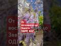 #психология #shortvideo #shorts #терапия #зависть #сознание #любовь #рост #развитие #игра