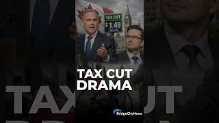 Did the Liberals Steal the Conservative's Policy? | Brian Lilley