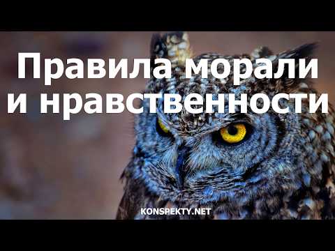 Правила морали и