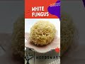 Herbs  spices  white fungus  herbsmartca