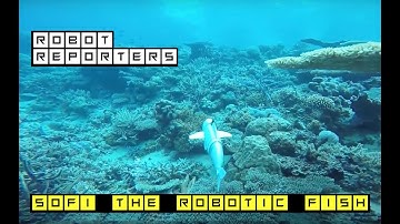 SoFi, the soft robotic fish that can observe marine life up close