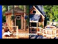 Super Chill Sauna vs. Hot Tub Rumpus Room! | Treehouse Masters